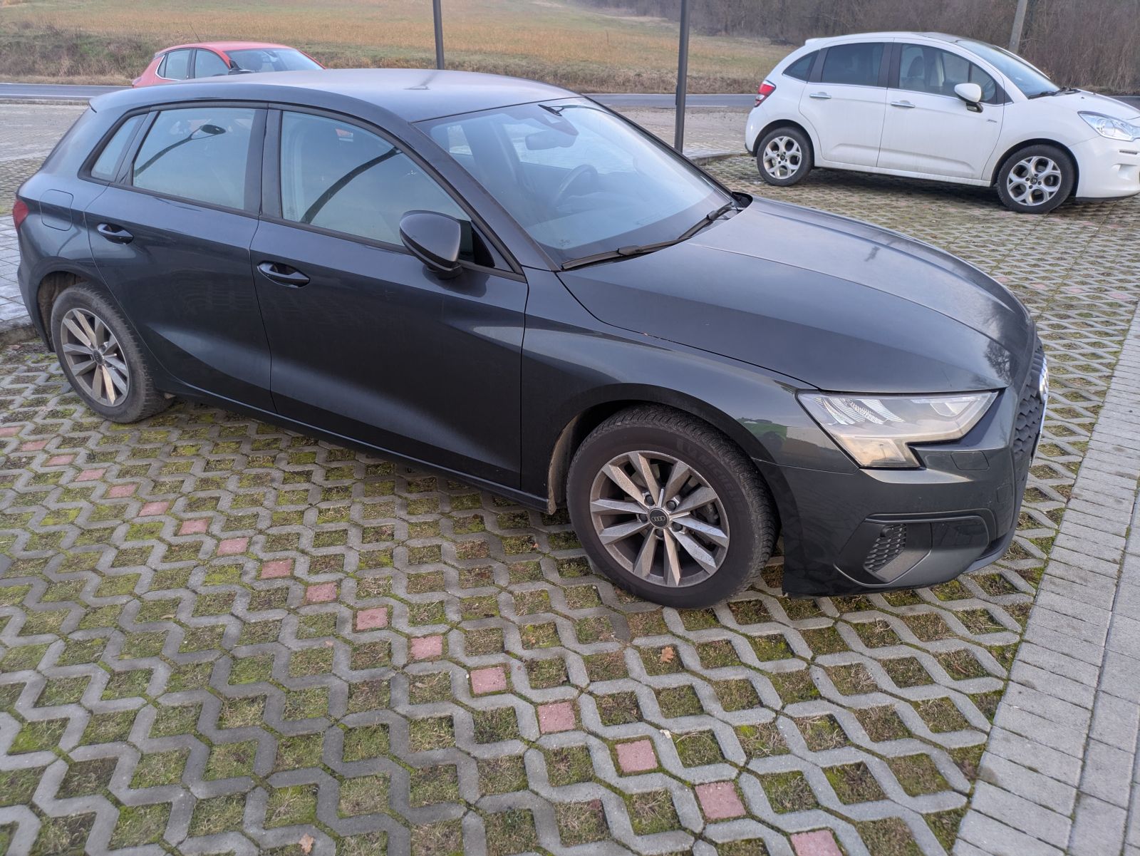 Da Viano a Verona passando per Parma: cinque servizi incastrati tra treni e bici